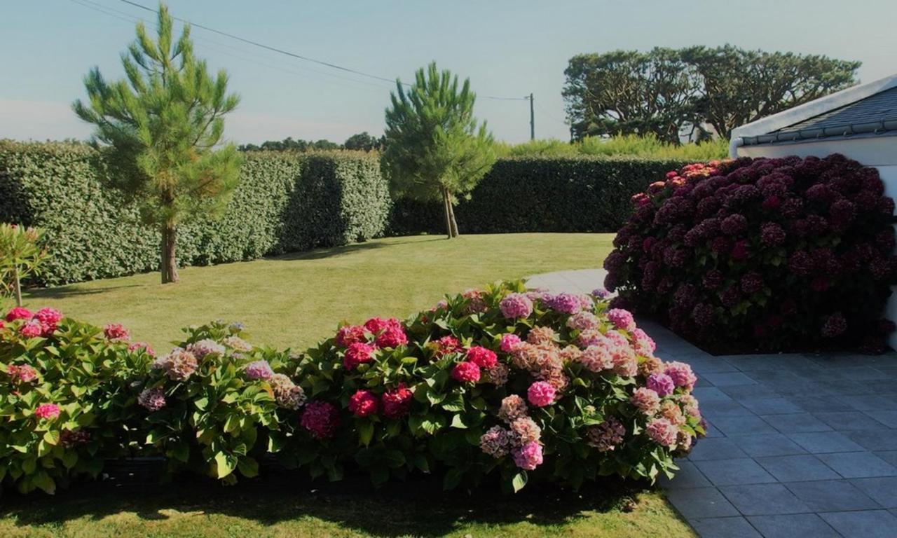 Maison Accueillante A Bangor Avec Jardin Clos Et Cheminee Екстериор снимка